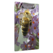 Klembord Honeybee en Buddleia Flowers (Rechts)