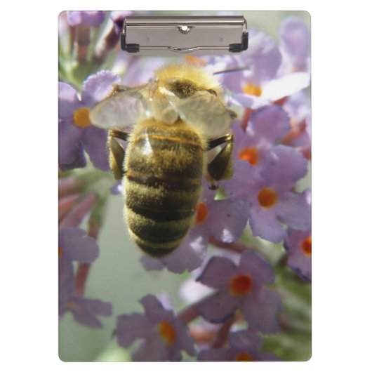 Klembord Honeybee en Buddleia Flowers (Voorkant)