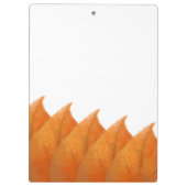 Klembord met herfst oranje bladeren (Achterkant)