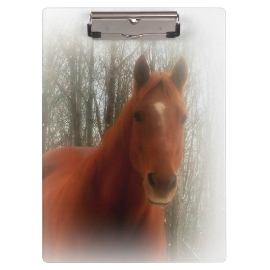 Klembord/Paard Klembord (Voorkant)