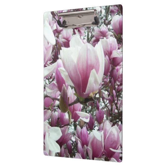 Klembord - Saucer Magnolia (Links)