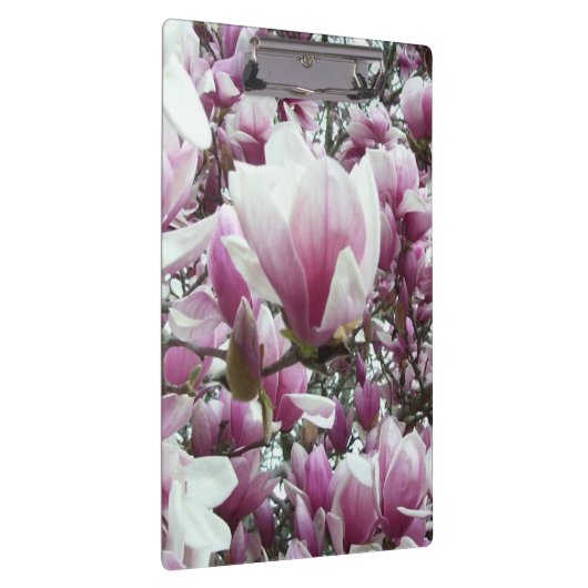 Klembord - Saucer Magnolia (Rechts)