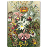 Klembord van Ernst Haeckel Orchidaceae (Achterkant)