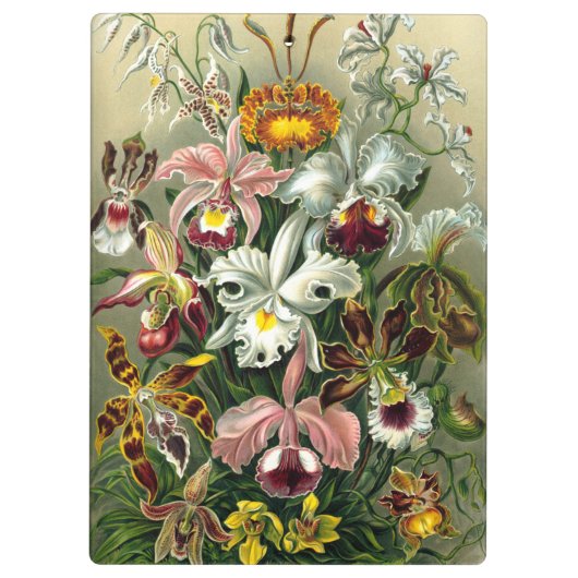 Klembord van Ernst Haeckel Orchidaceae (Achterkant)