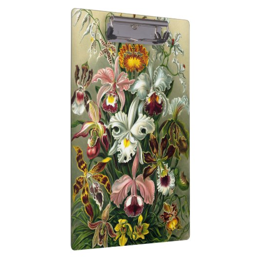 Klembord van Ernst Haeckel Orchidaceae (Rechts)