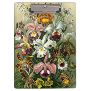 Klembord van Ernst Haeckel Orchidaceae