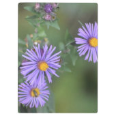 Klembord van Purple Flowers (Achterkant)