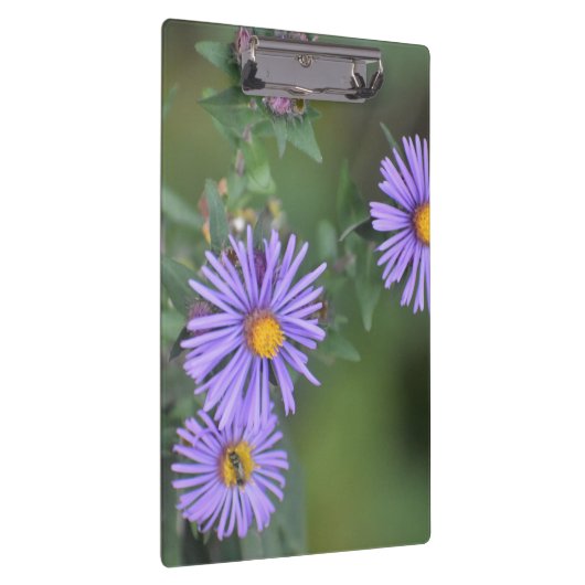 Klembord van Purple Flowers (Rechts)