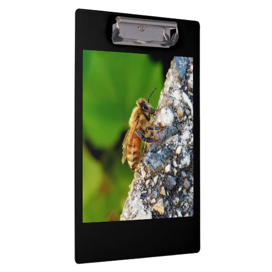 klembord voor bijen (Rechts)