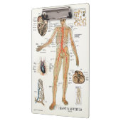 Klembord voor de Anatomie van het Hart van het Bur (Links)