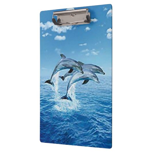klembord voor dolfijnen (Links)