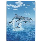 klembord voor dolfijnen (Achterkant)