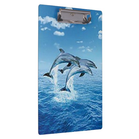 klembord voor dolfijnen (Rechts)