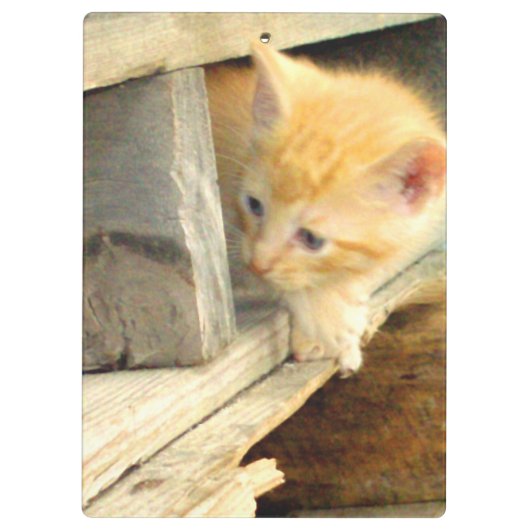 Klembord voor gemiddeld katten 1 (Achterkant)