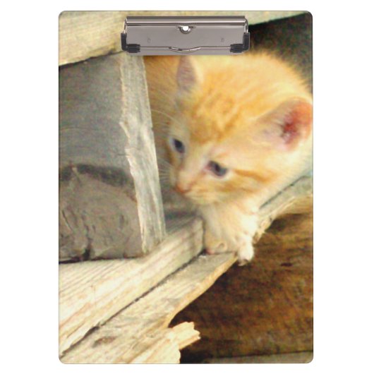 Klembord voor gemiddeld katten 1 (Voorkant)