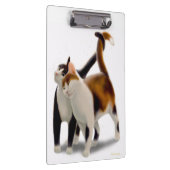 Klembord voor kattenkat voor kattenvrienden (Rechts)