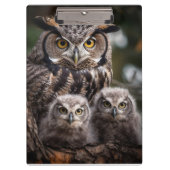 Klembord voor Owl Family (Voorkant)