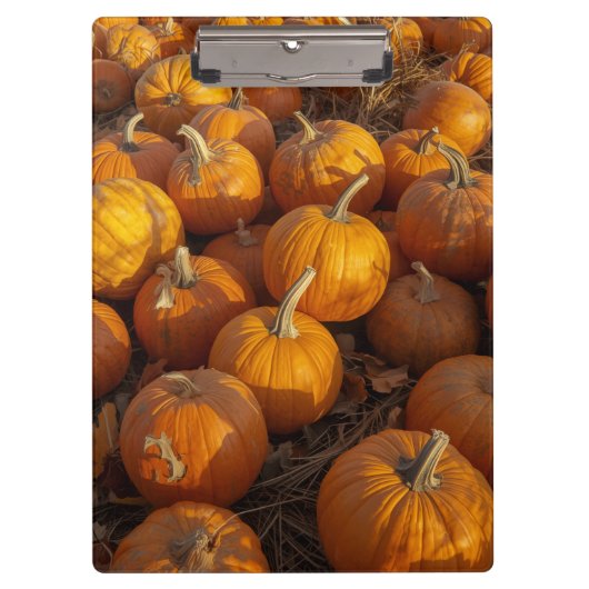 Klembord voor pompoenpleister (Voorkant)