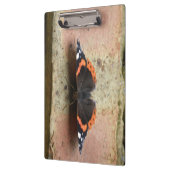 Klembord voor rode admiral Butterfly (Links)