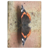 Klembord voor rode admiral Butterfly (Achterkant)