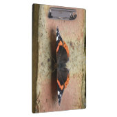 Klembord voor rode admiral Butterfly (Rechts)