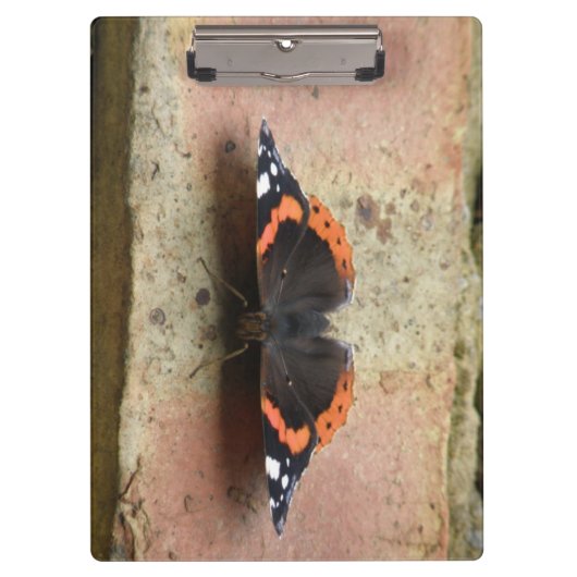 Klembord voor rode admiral Butterfly (Voorkant)