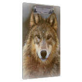 Klembord/Wolf Klembord (Rechts)