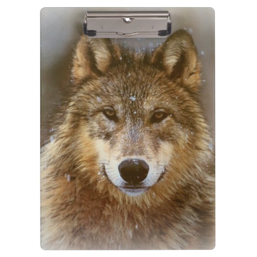 Klembord/Wolf Klembord (Voorkant)