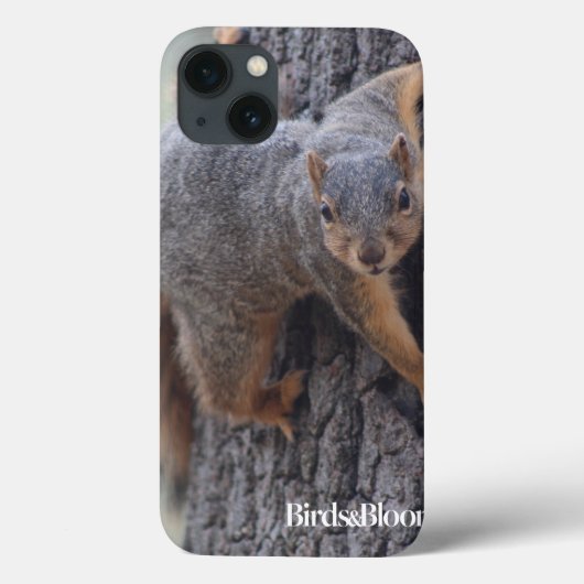 Klemmende eekhoorn Case-Mate iPhone case (Achterkant)
