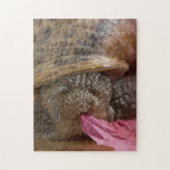 Klep nagellak Eetpapier Ziekteverf puzzel Legpuzzel (Verticaal)