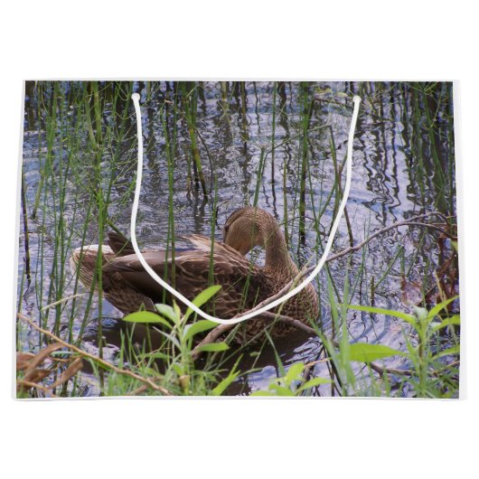 Klepfoto van een eend groot cadeauzakje (Voorkant)