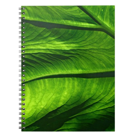 Klepfoto van groen blad notitieboek (Voorkant)