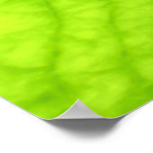 Klepfoto van groen blad poster (Hoek)