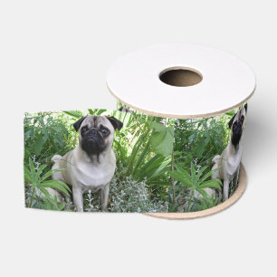 kletspraat grosgrain lint