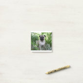 kletspraat post-it® notes (Op bureau)