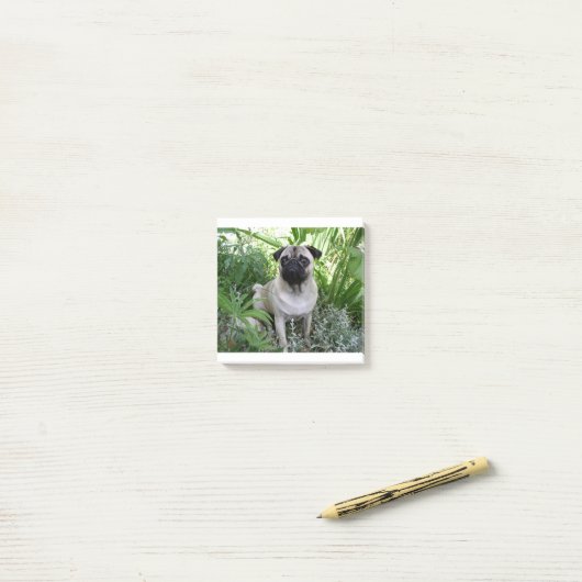 kletspraat post-it® notes (Op bureau)