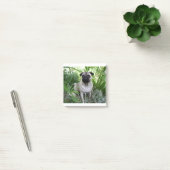 kletspraat post-it® notes (Kantoor)