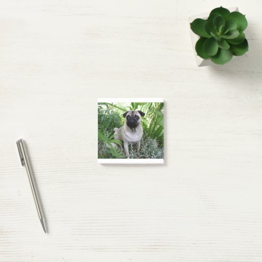 kletspraat post-it® notes (Kantoor)