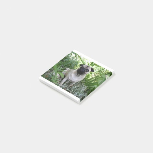 kletspraat post-it® notes (Schuin)