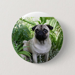 kletspraat ronde button 5,7 cm