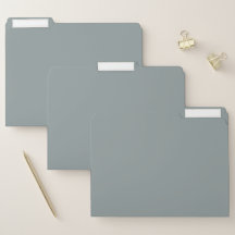Kleur 919D9D