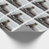 Kleur Aangepaste achtergrond verzegelen Cadeaupapier (Hoek)