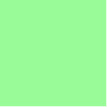 kleur bleek groen staand fotobeeldje<br><div class="desc">kleur bleek groen 98FB98</div>
