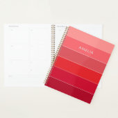 Kleur Blok Naam Rood Roze Strepen Planner (Display)