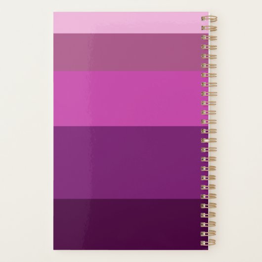 Kleur Blok Stripes Lavendel Roze Pastel Planner (Achterkant)