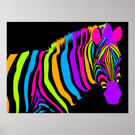 Kleur Burst-Zebra Poster (Voorkant)