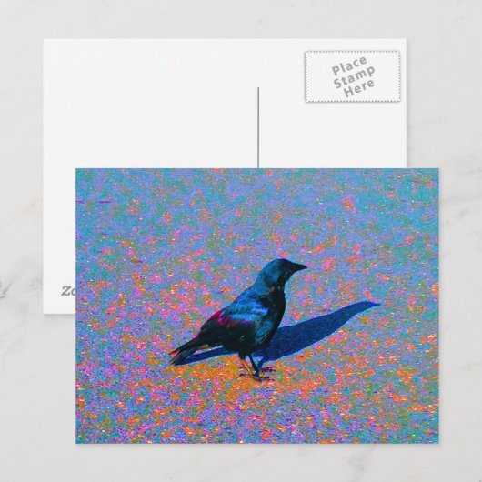 Kleur de rij briefkaart (Voorkant / Achterkant)