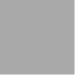 kleur donkergrijs staand fotobeeldje<br><div class="desc">kleur donkergrijs A9A9</div>
