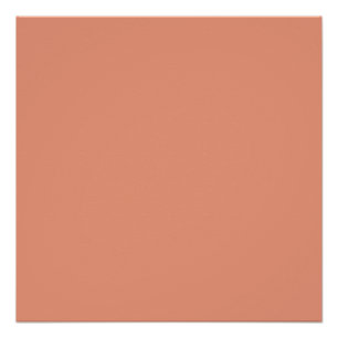 kleur donkerzalm poster