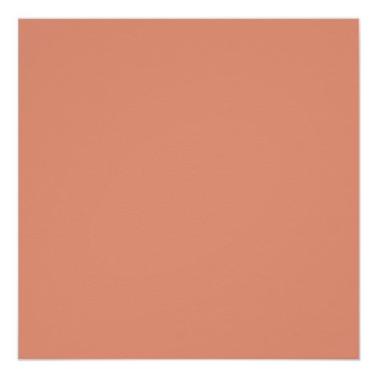 kleur donkerzalm poster (Voorkant)